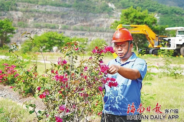 海南這座礦山，為何這么綠？4.jpg